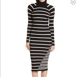 T by Alexander Wang Stripe Knit Turtleneck Dress